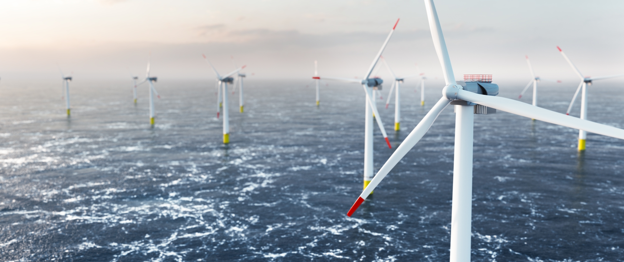 Offshore wind power and energy farm with many wind turbines on the ocean. Sustainable electricity production