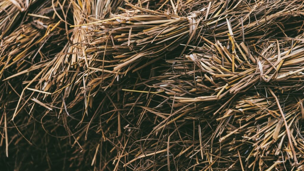 Forschungsprojekt zeigt verbesserte lokale Nutzungsmöglichkeit halmgutartiger Biomasse